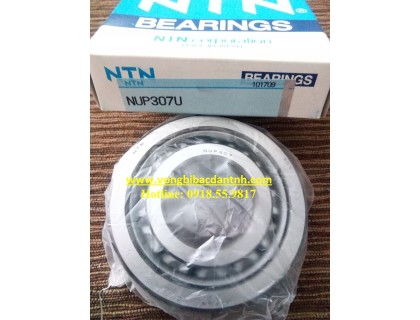 BẠC ĐẠN NUP307-307